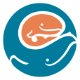 Seattle Children's / University of Washington / Harborview Medical Center website mark Seattle Children's / University of Washington / Harborview Medical Center website mark