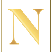Neinstein Plastic Surgery website mark
