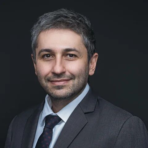 Portrait of Prof. Chrysis Sofianos